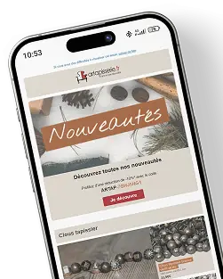 Image d'un exemple de newsletter