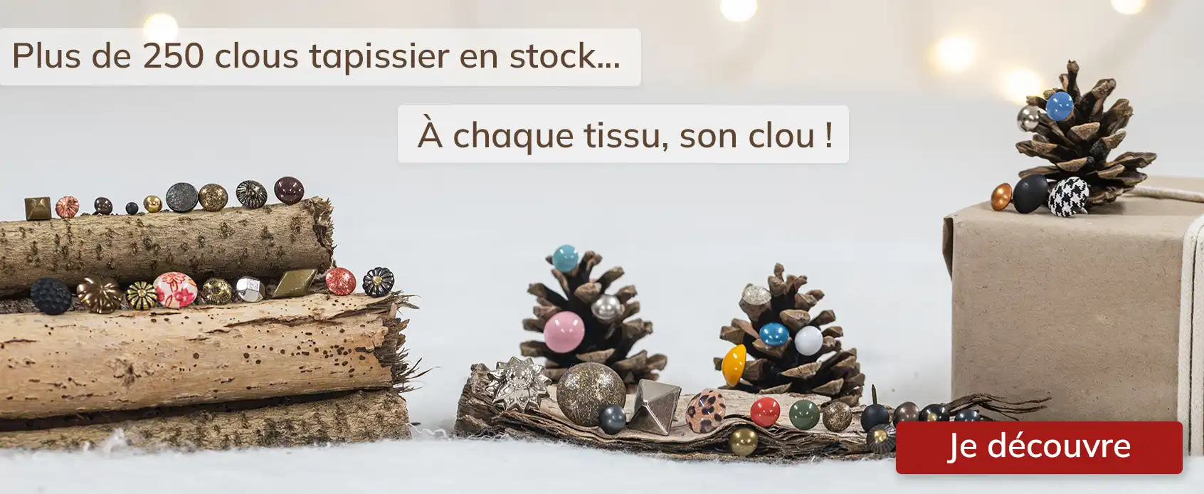 Clous tapissier hivers 25
